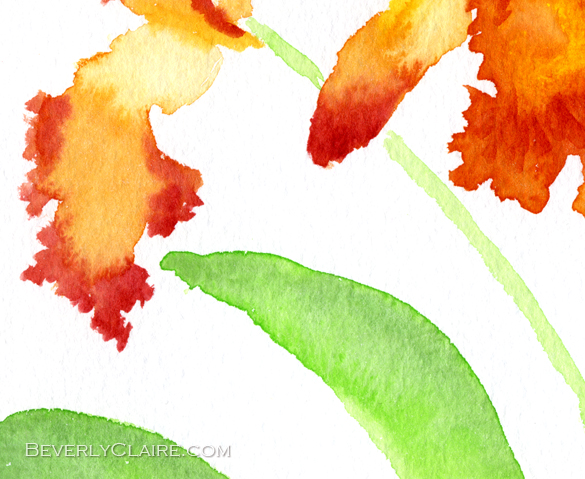 Detail of Orange Cattleya Orchids Watercolor Painting by Beverly Claire Fine Art