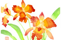 Orange Cattleya Orchids Watercolor Painting