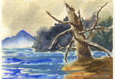 Dead Tree by the Lake Watercolor Painting